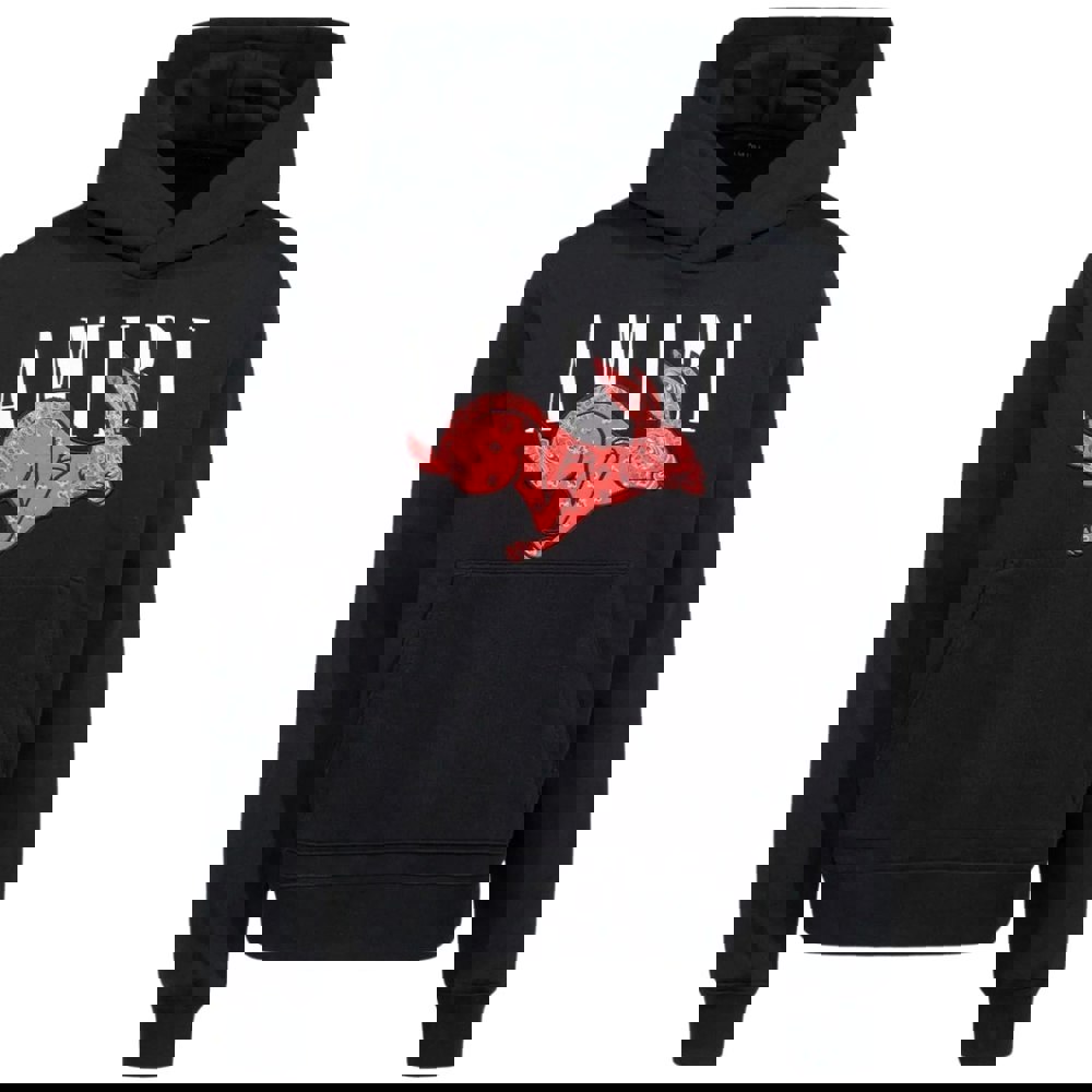 Amiri CNY Rabbit Logo Black Hoodie S