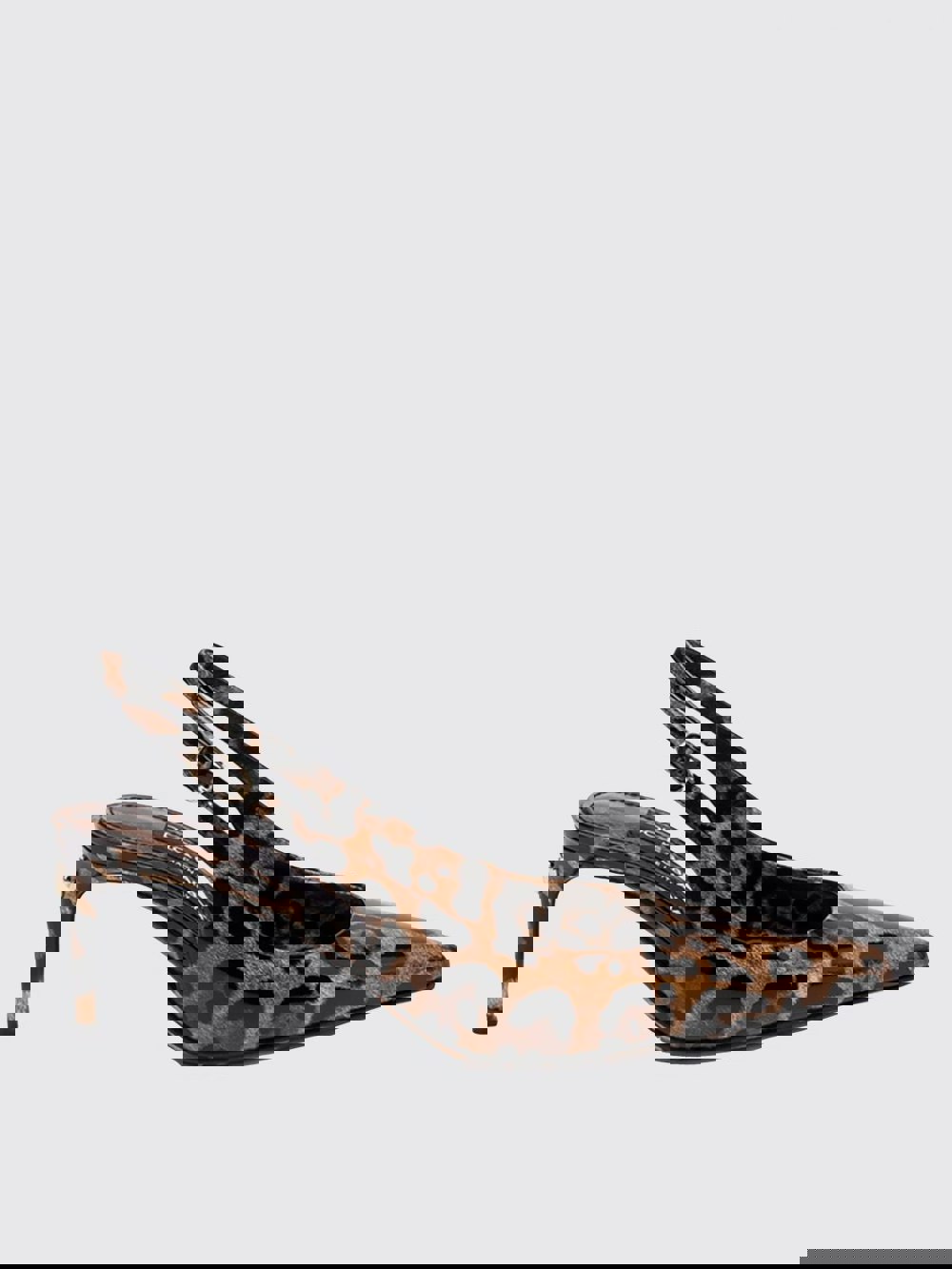 208028474.jpg