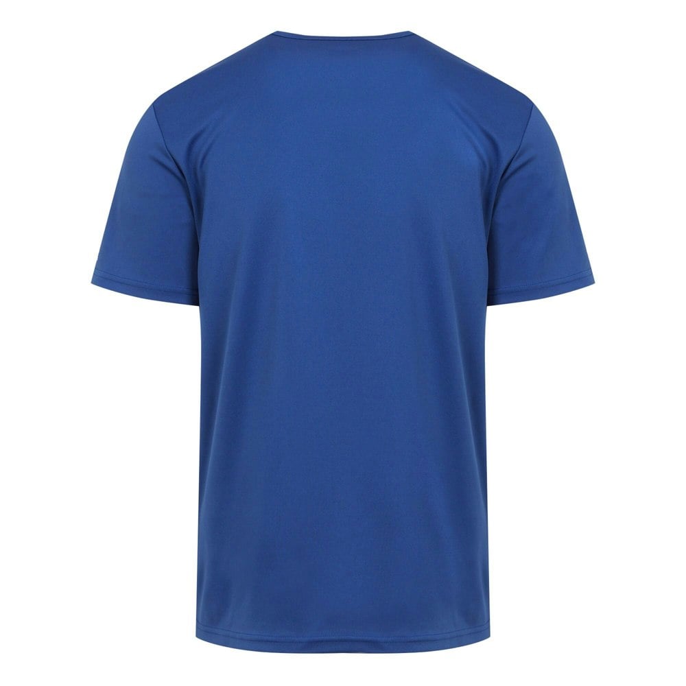 Regatta Mens Fingal VIII Seaside T-Shirt - New Royal