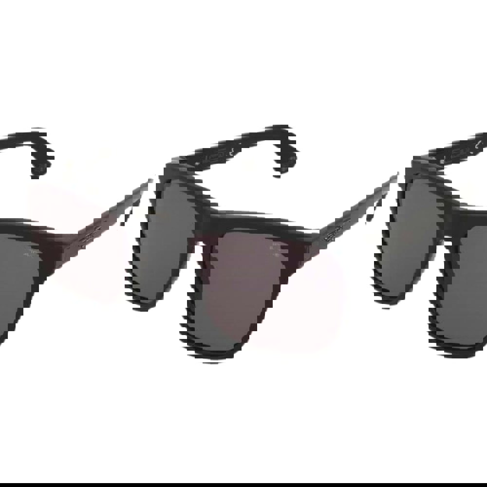 Police Shiny Black Sunglasses
