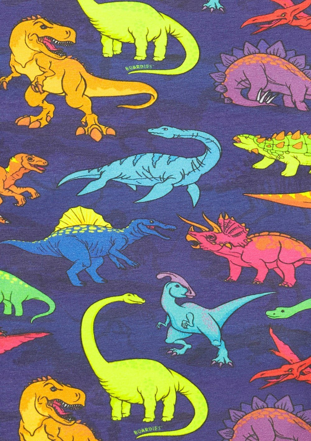 BOARDIES Vibrant Dino Kids Co-ord