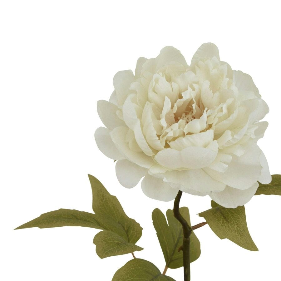 Wyld Haus Set of 3 Artificial Flowers Cream Peony Stem