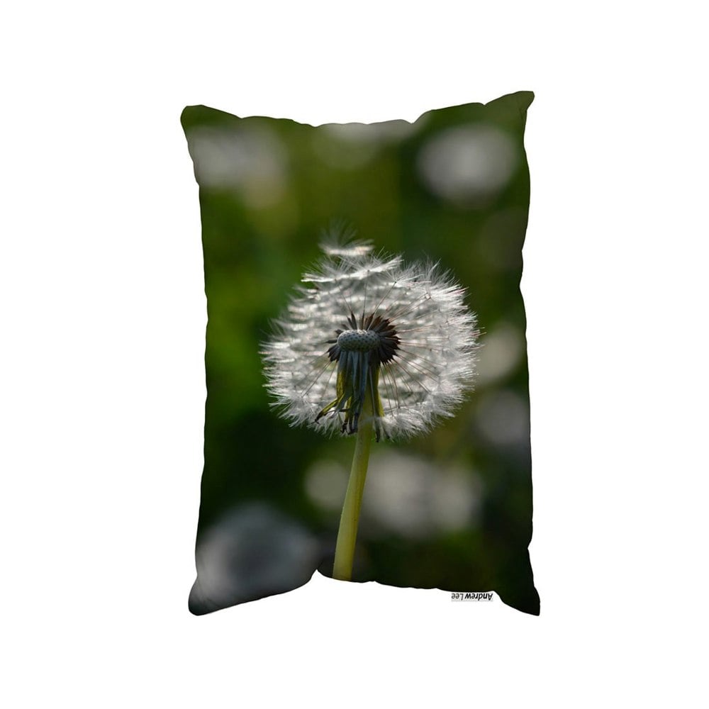 Benjamin Tate Design Seedhead Of A Dandelion In Spring, On A Field Close Up Flower Head, Fluffy Flower (Outdoor Cushion)