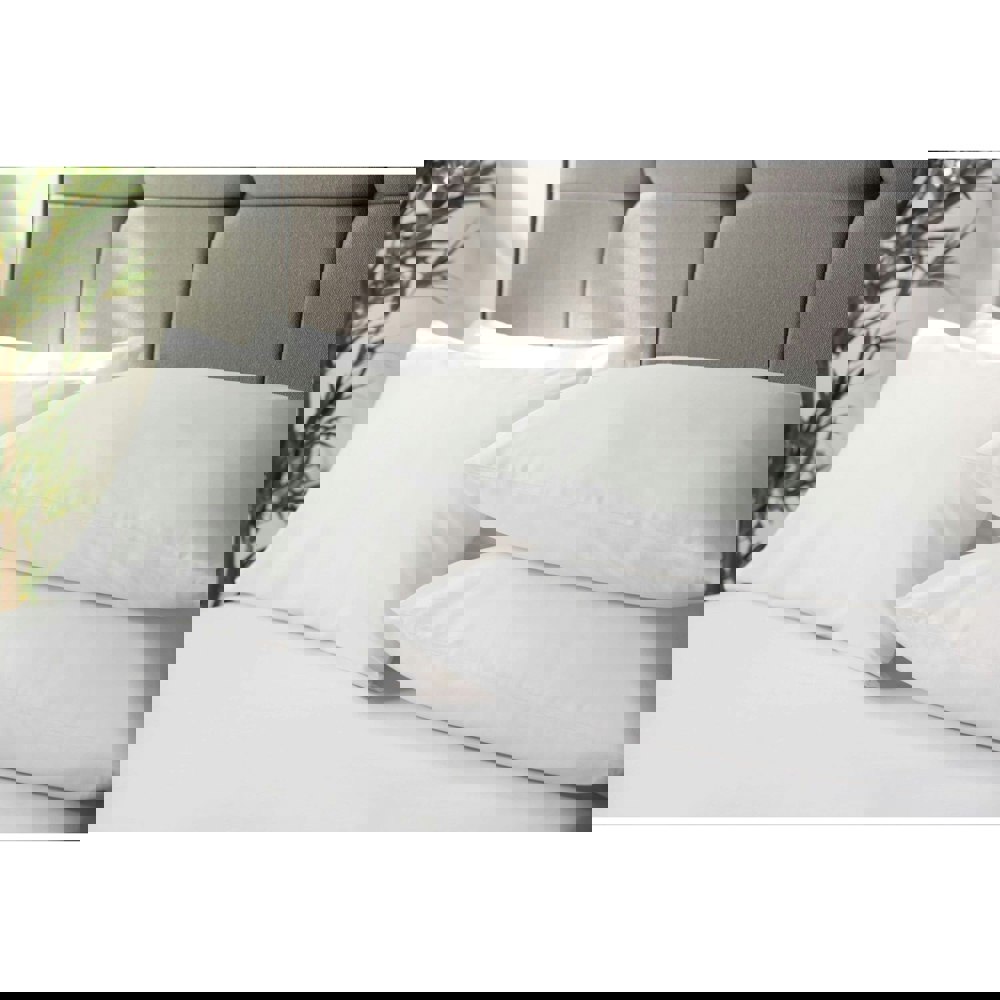 Belledorm Percale Housewife Pillowcase (Pack of 4) - White