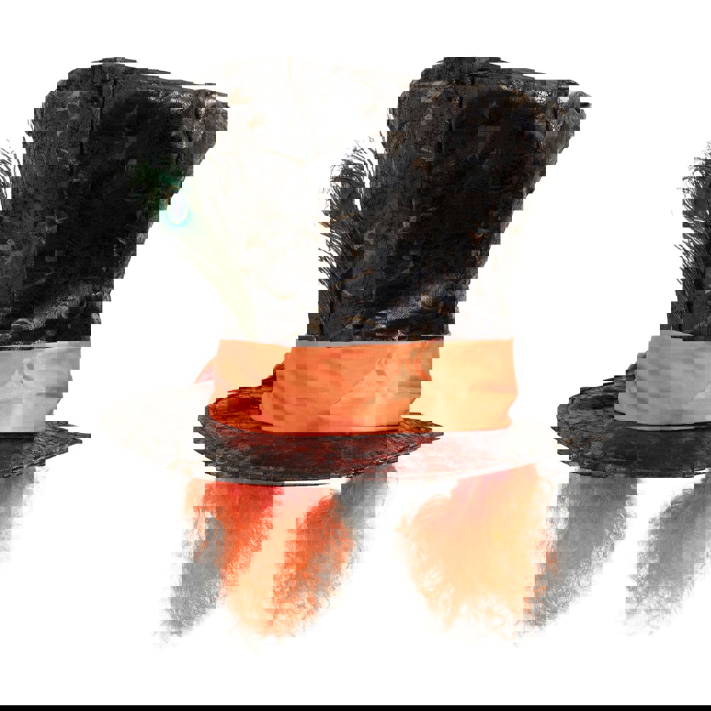 Bristol Novelty Unisex Top Hat With Feather And Hair - Brown/Orange