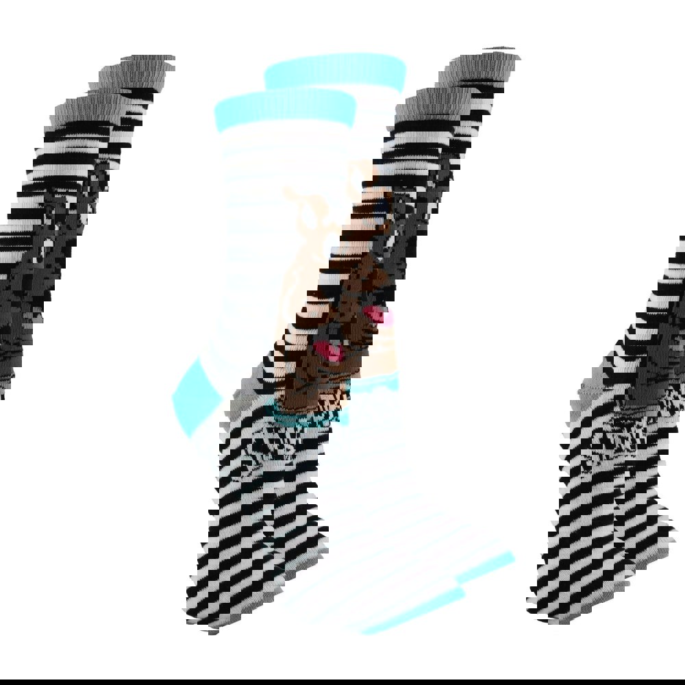 t4option1_0