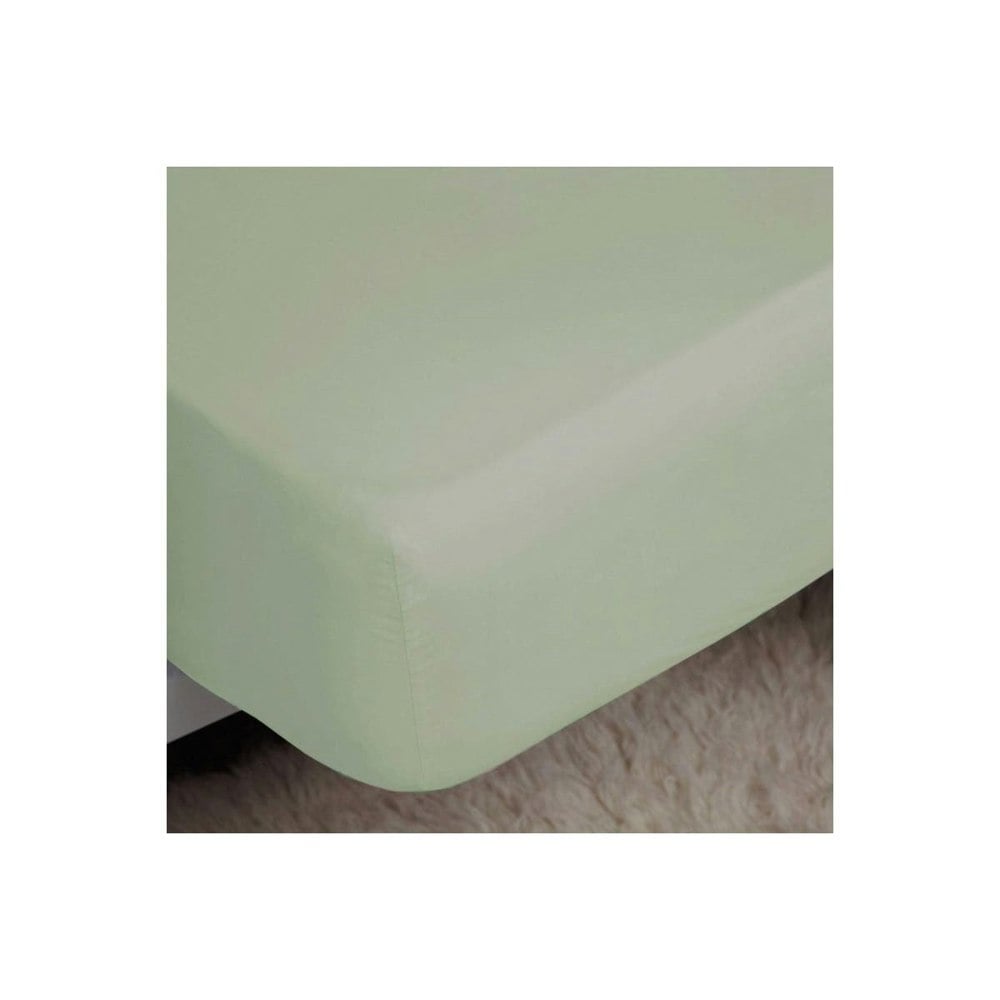 Belledorm 200 Thread Count Egyptian Cotton Fitted Sheet - Thyme