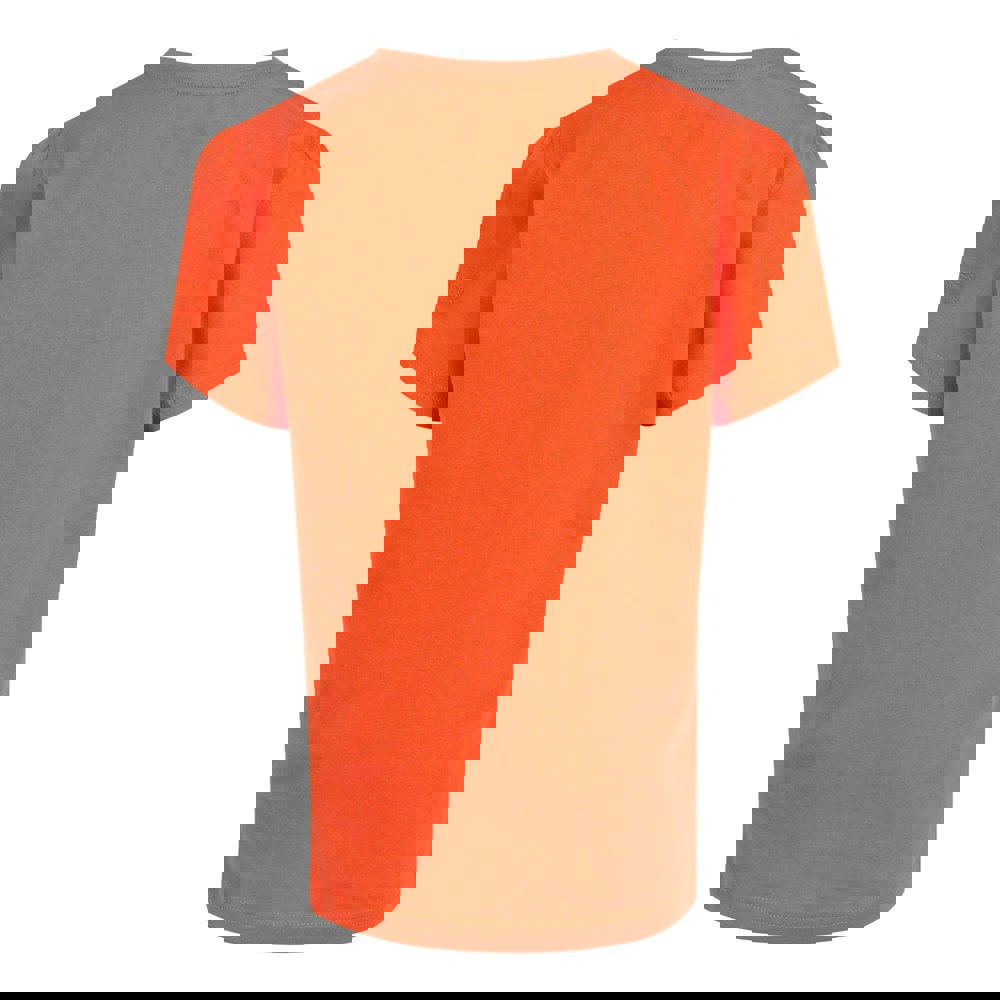 Regatta Childrens/Kids Bosley VII Butterflies T-Shirt - Satsuma
