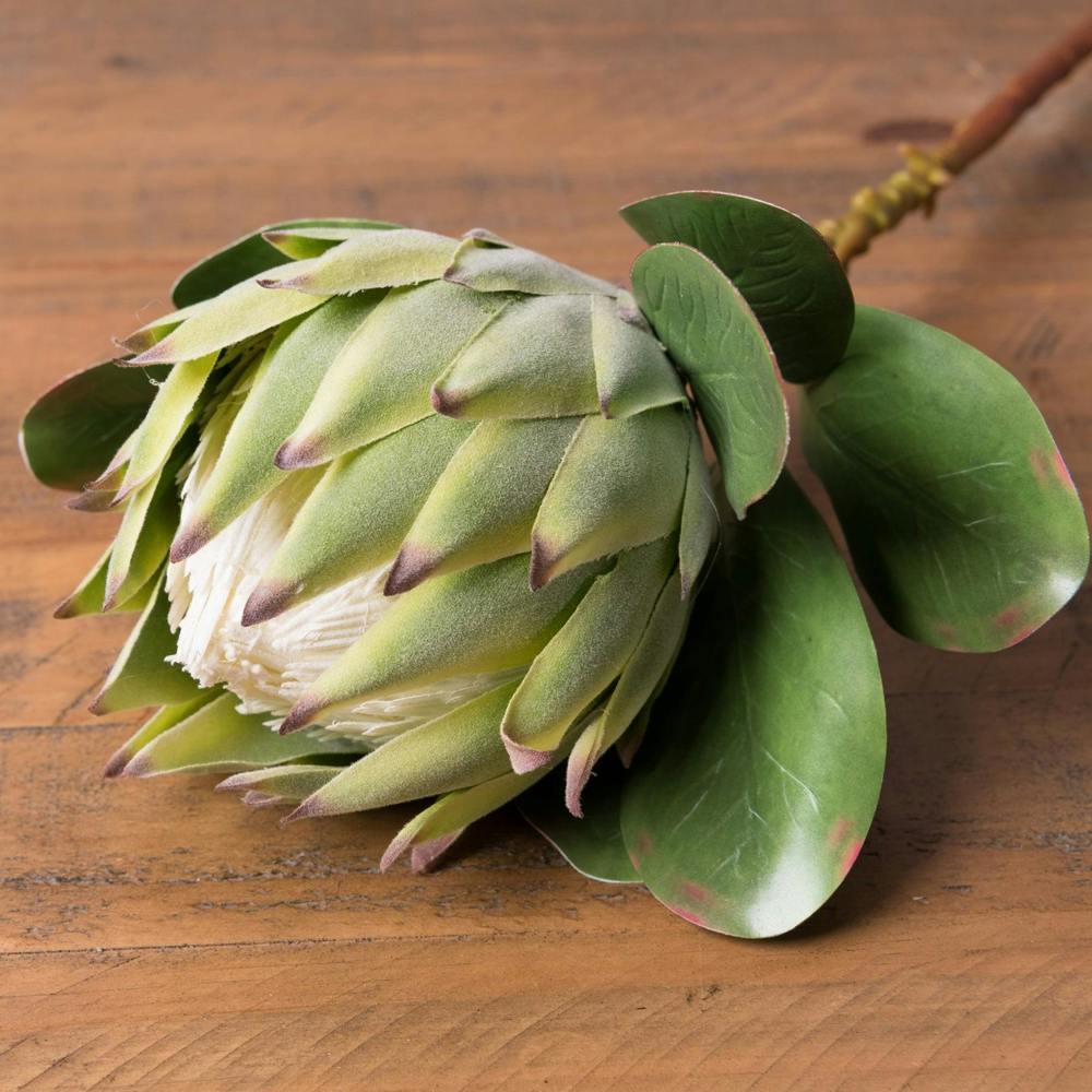 Wyld Haus Set of 3 Artificial Flowers Green Protea Artichoke Stems