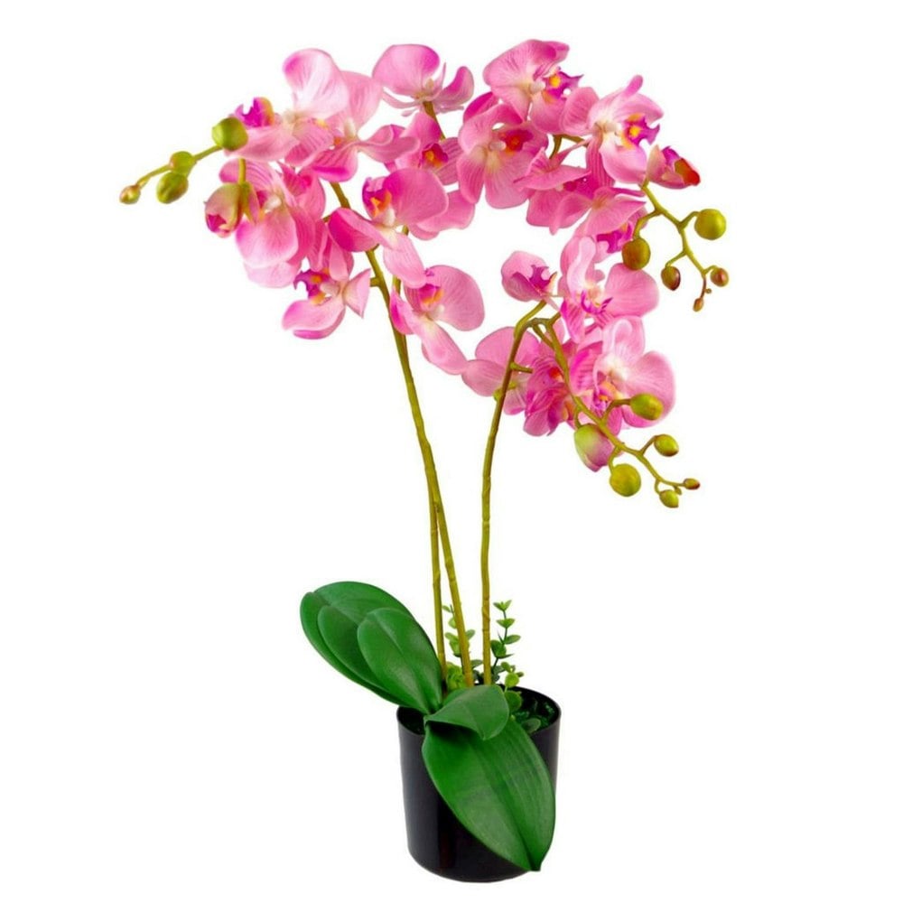 Leaf 60cm Leaf Design UK Realistic Artificial Orchid Flower Display in Pot