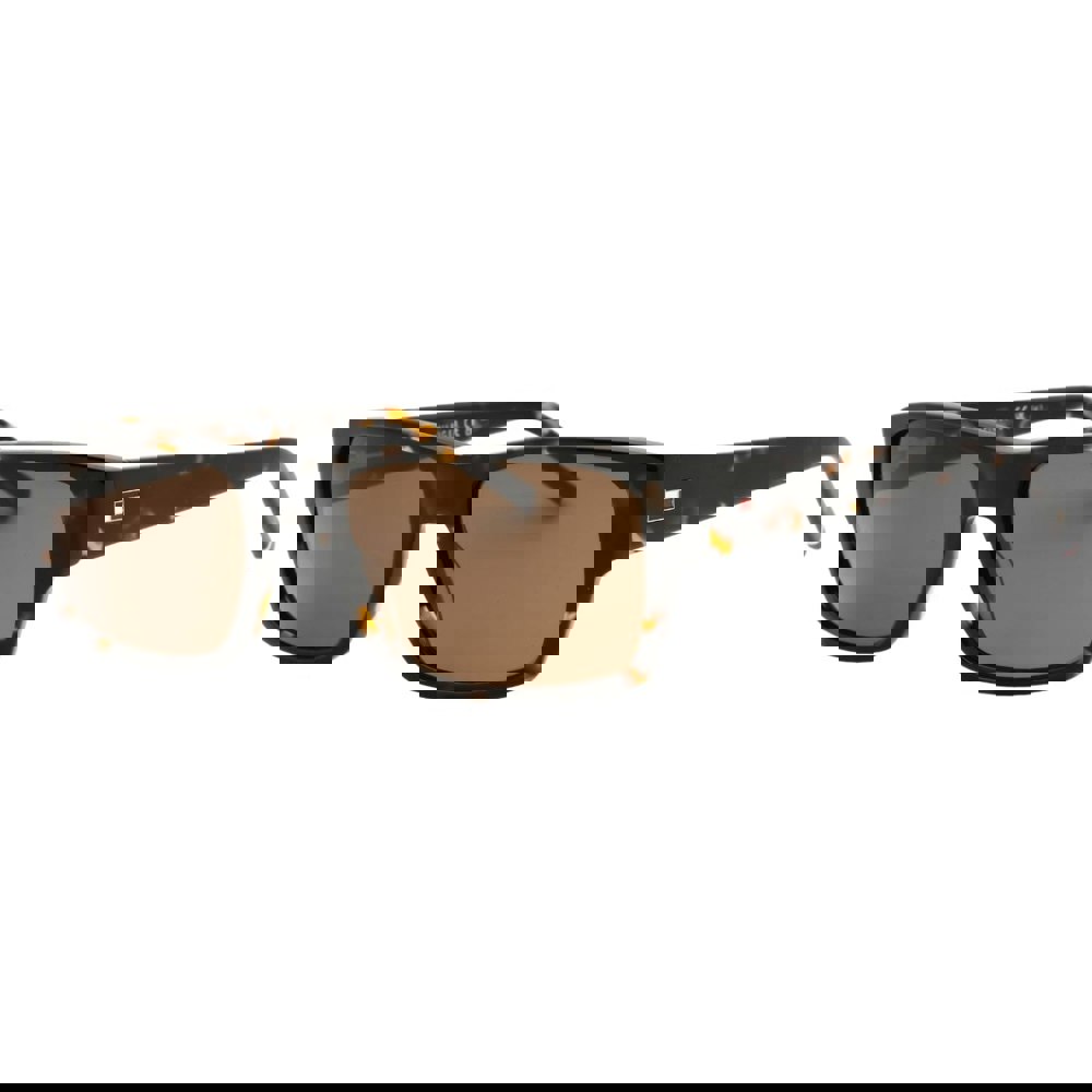 Tommy Hilfiger Brown Lens Havana Sunglasses One Size