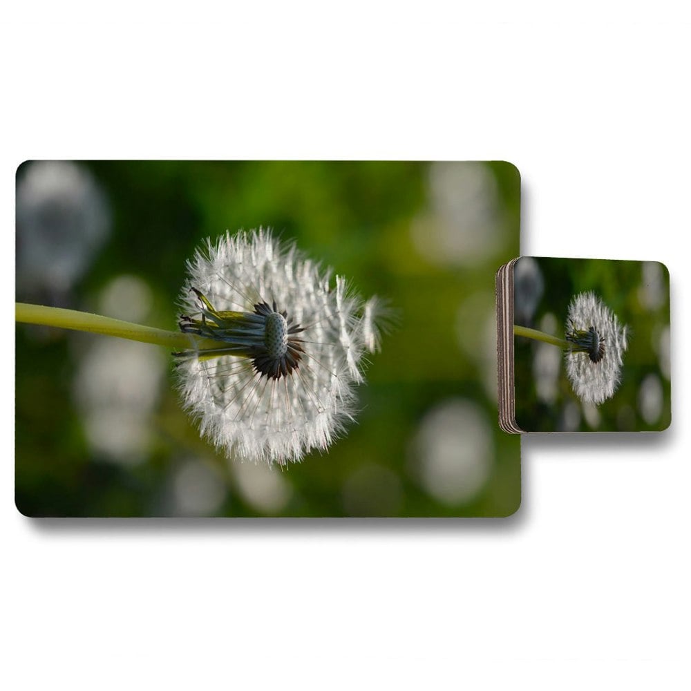 Benjamin Tate Design Seedhead of a Dandelion in spring, on a field close up flower head, fluffy flower (Placemat & Coaster Set)