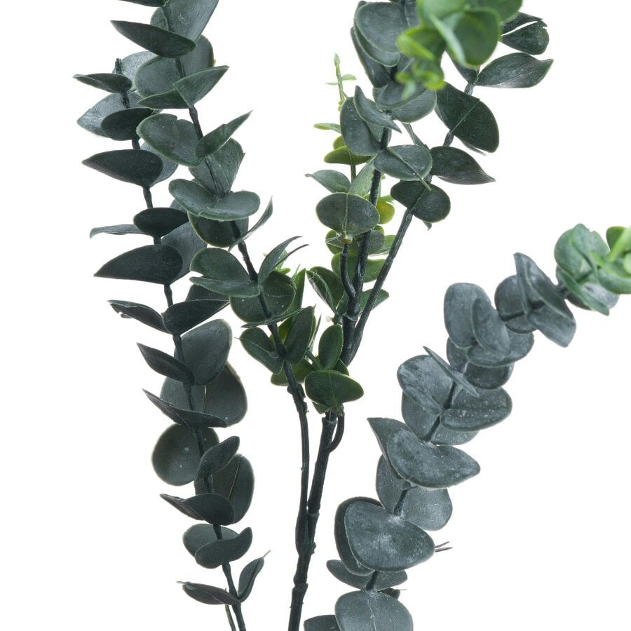 Wyld Haus Set of 3 Artificial Flowers Silver Dollar Eucalyptus Stems