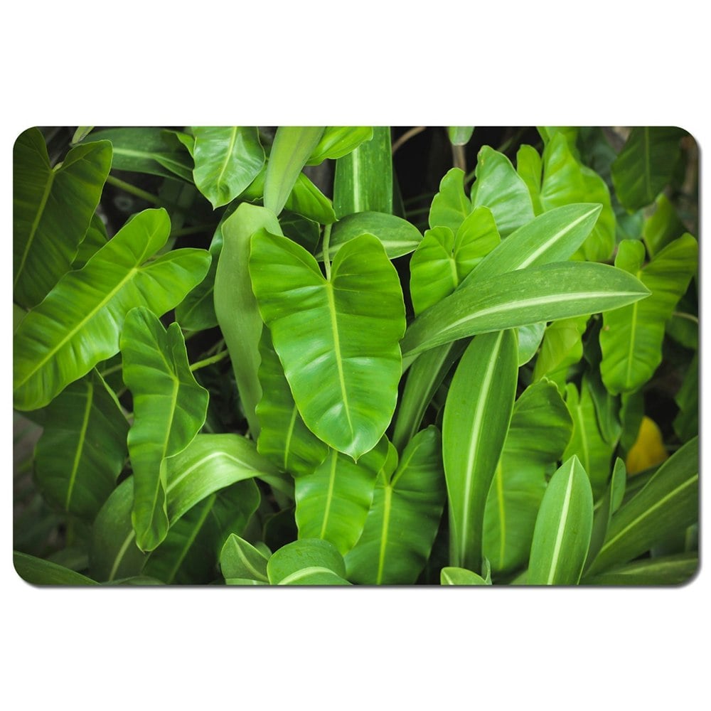 Benjamin Tate Design Abstract background of dark green leaves (Placemat)