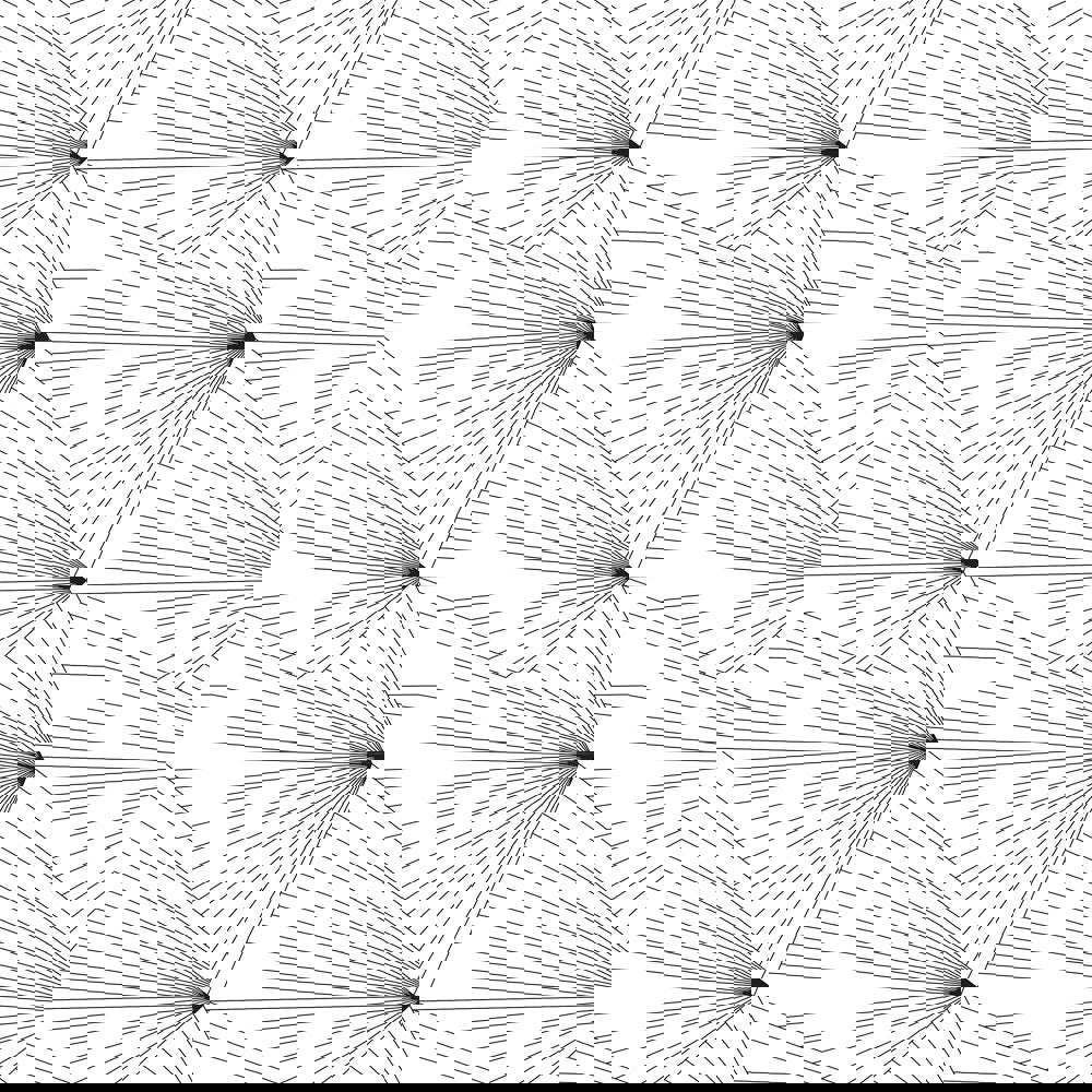 Fan black / white