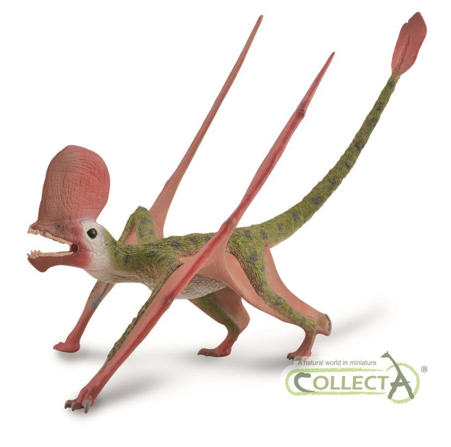 CollectA Caviramus Dinosaur with Movable Jaw - Hand-Painted And Designed By Experts