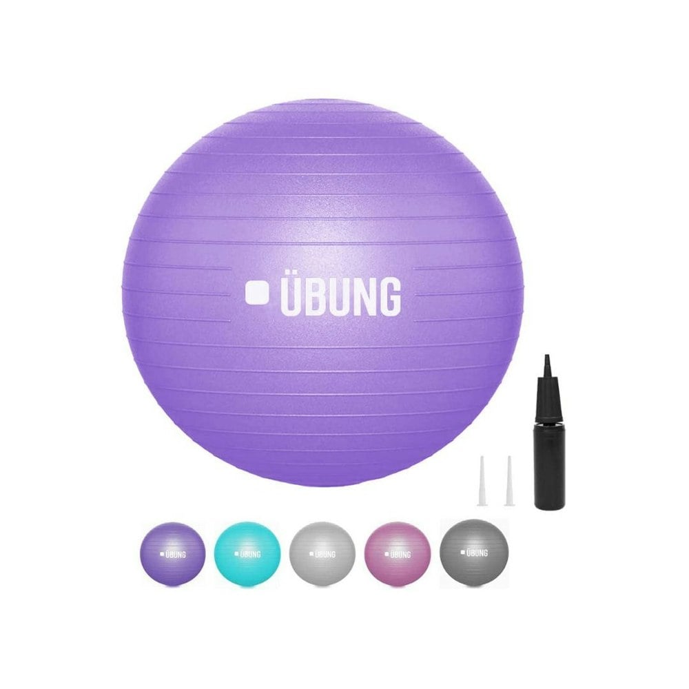 UBUNG Anti Burst Exercise Fitness Ball 65cm Swiss Ball with Pump Non Slip Light Purple