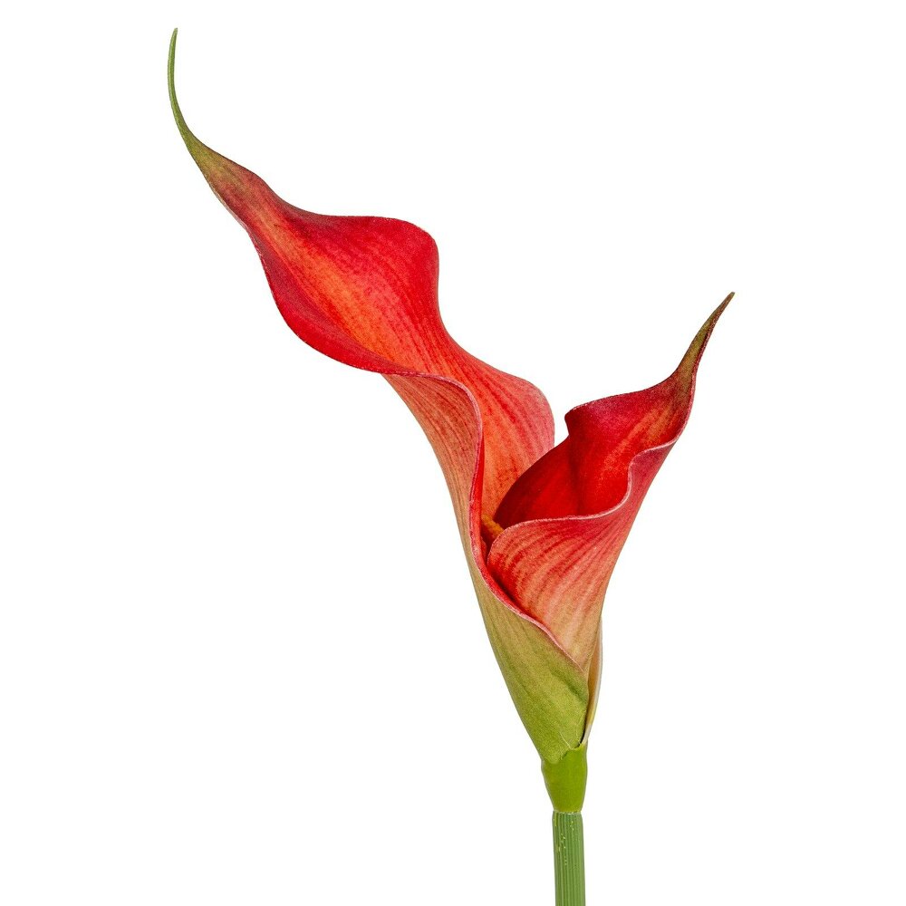 Wyld Haus Set of 3 Artificial Flowers Fireball Calla Lily Stems
