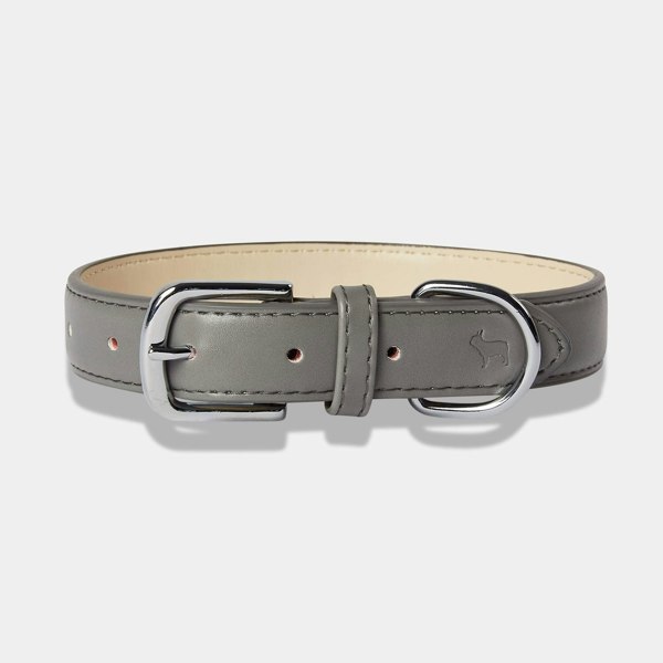 Grey Dog Collar with Luxury Silver Buckles