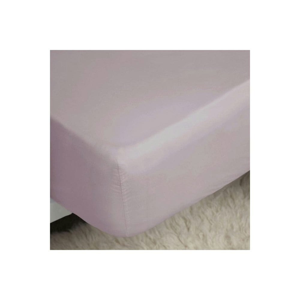 Belledorm 200 Thread Count Egyptian Cotton Fitted Sheet - Mulberry