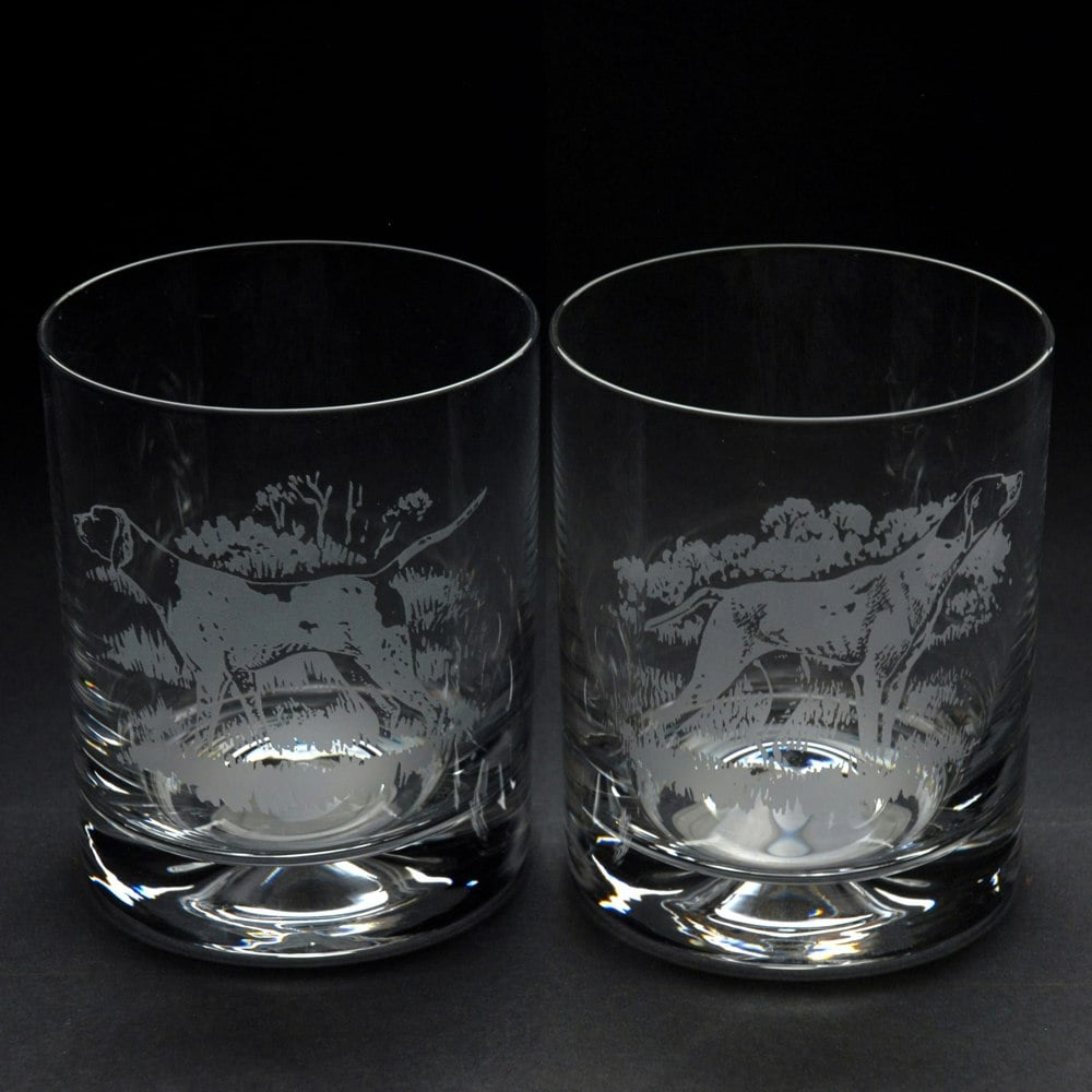 Glyptic Glass Art English Pointer Dog Whiskey Tumbler Glass - Hand Etched/Engraved Gift