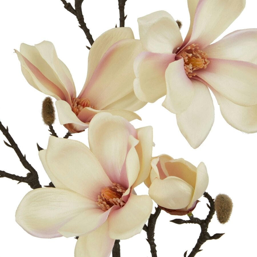 Wyld Haus Set of 3 Artificial Flowers Pale Apricot Magnolia Stems