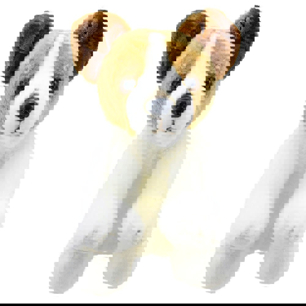 Wilberry Jack Russell Terrier - Wilberry Favourites