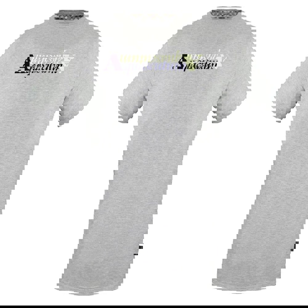 Aquascutum Reflection Logo Grey T-Shirt - Nova Clothing