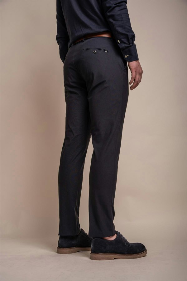 Reed navy trouser back