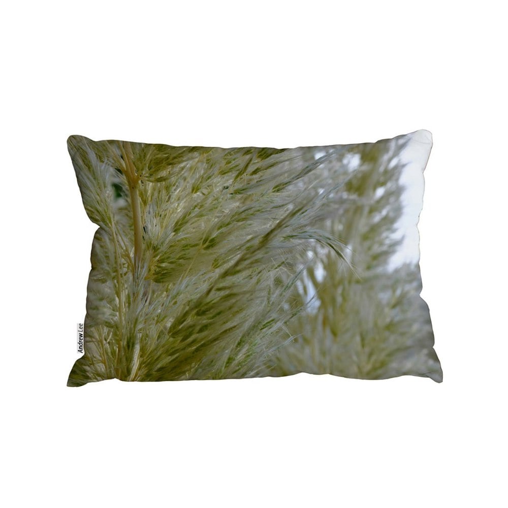 Benjamin Tate Design Autumn Pampas Grass Close Up (Outdoor Cushion)