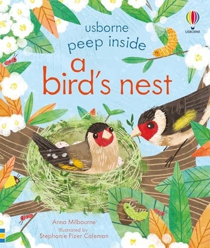 Peep Inside a Bird's Nest (Age 3 - 5)