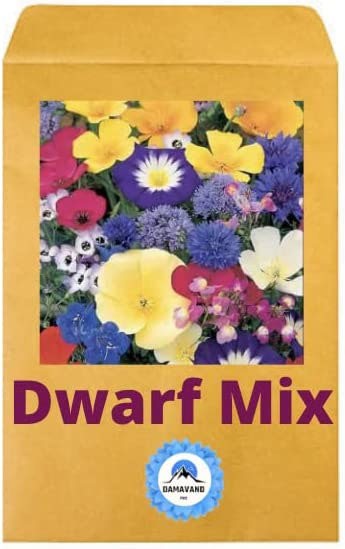 dwarf mix flower seeds