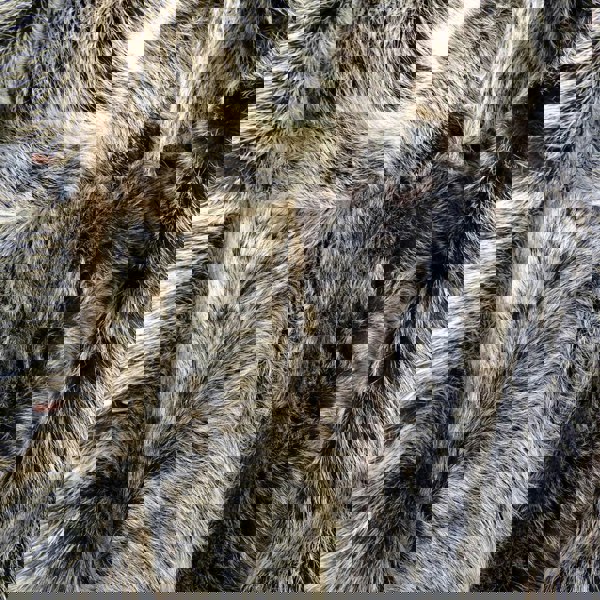 3/4_jacket_Brown-Gold_2XL - 18, 3/4_jacket_Brown-Gold_3XL - 20, 3/4_jacket_Brown-Gold_L - 14, 3/4_jacket_Brown-Gold_M - 12, 3/4_jacket_Brown-Gold_S - 10, 3/4_jacket_Brown-Gold_XL - 16, 3/4_jacket_Brown-Gold_XS - 8