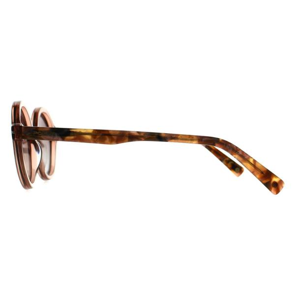 Polar Sunglasses Gold 122 COL.408 Transparent Nude Brown Brown Polarized