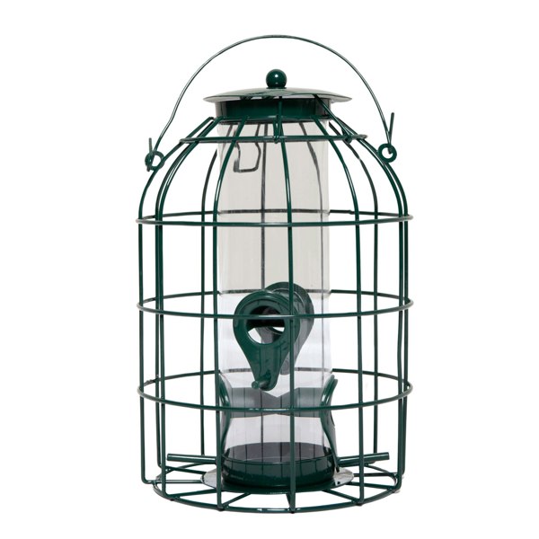 Samuel Alexander Metal Hanging Bird Seed Feeder with Squirrel Guard