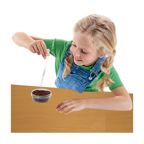 SES Creative Treehouse garden