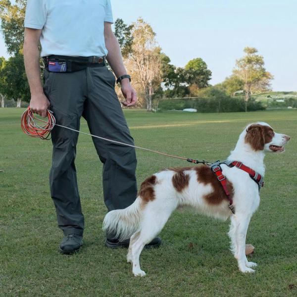 EzyDog Track 'N' Train Slimline Long Line Dog Lead in Red