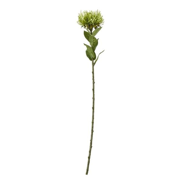 Wyld Haus Set of 3 Artificial Flowers Green Protea Lorea Stems