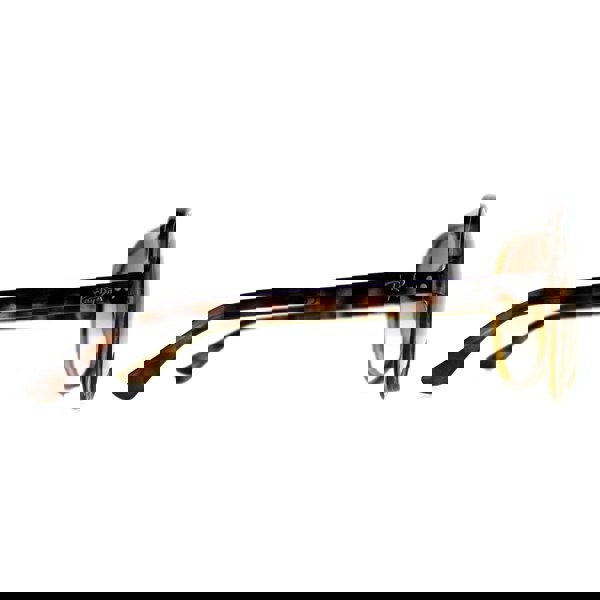 Ray-Ban Sunglasses Cats 5000 4125 710/51 Havana Brown