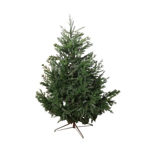 Samuel Alexander 7ft 210cm Green Glenshee Spruce Artificial Christmas Tree PE and PVC Mix Natural Look