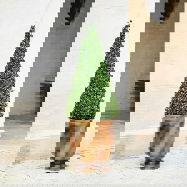 #size_tall