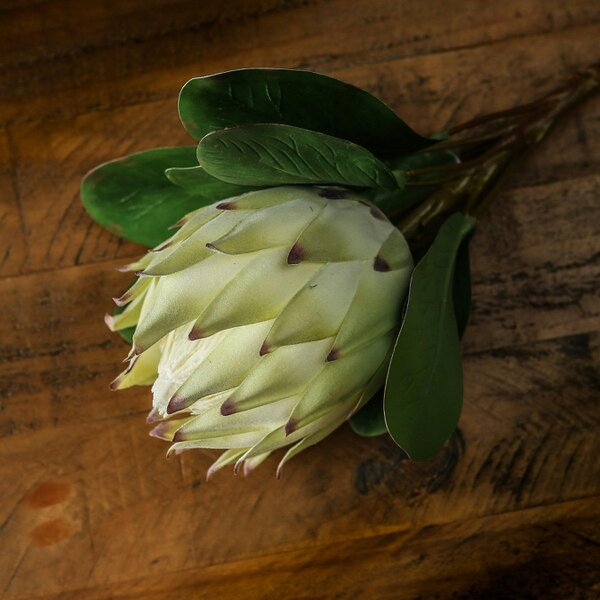 Wyld Haus Set of 3 Artificial Flowers Large White Protea
