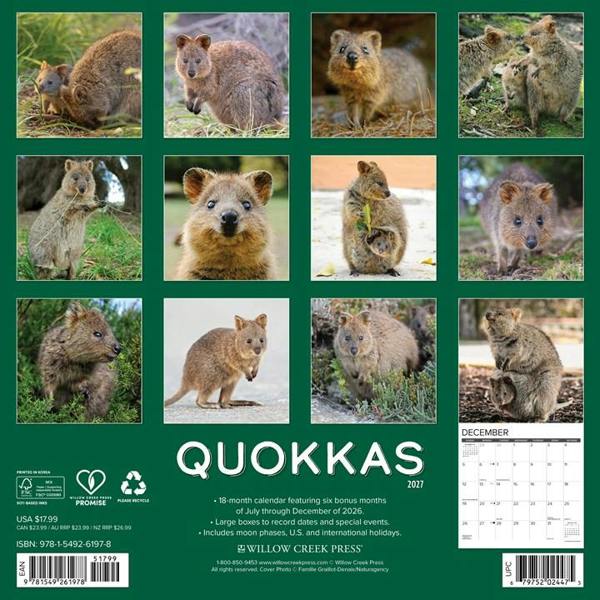Quokkas Calendar 2027, Wall Calendars, Month To View, Animals, Gift