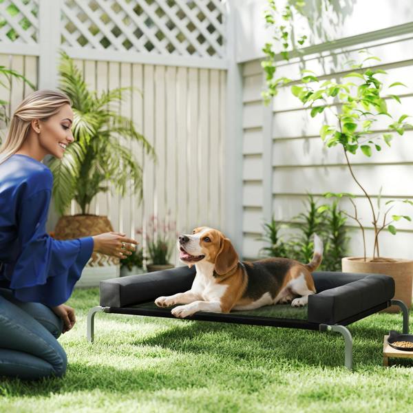 Elevated Dog Bed