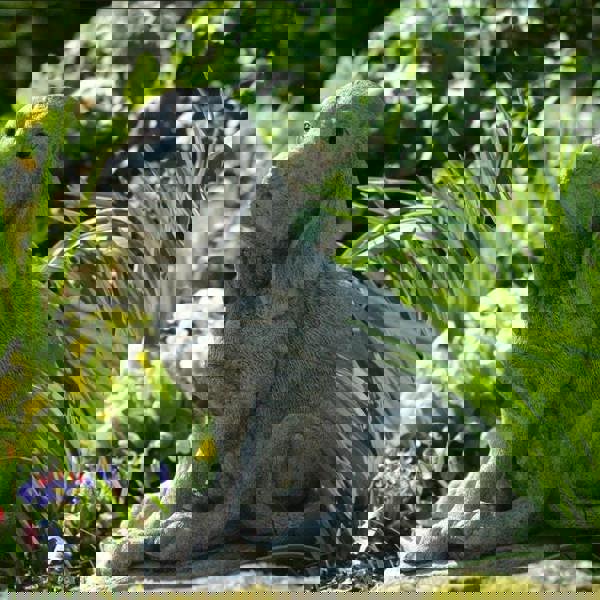 Stone Cast Bloodhound Garden Ornament