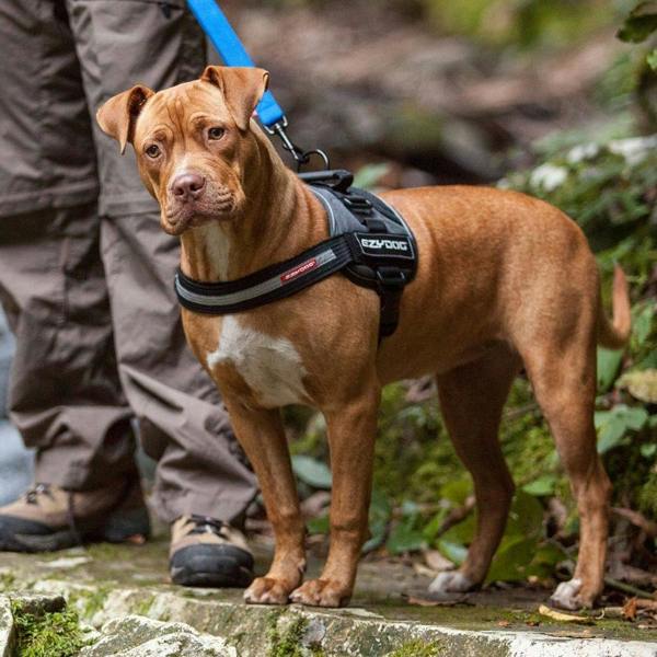EzyDog Convert Harness in Red