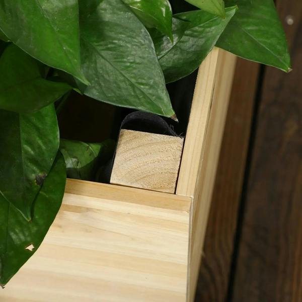 Close-up of natural wood planter box with soil and leafy plant beside the rim