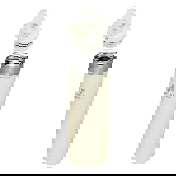 t4option1_1