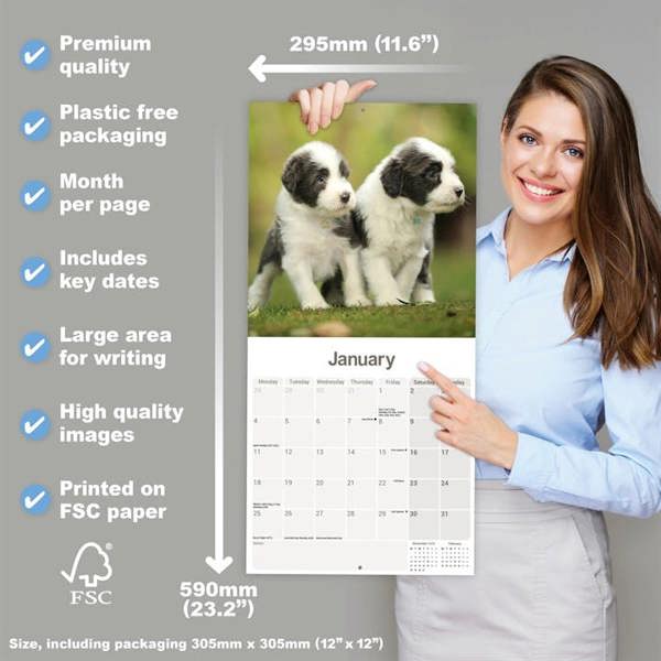 Bearded Collie Calendar 2027, Wall Calendars, Month To View, Dogs, Gift