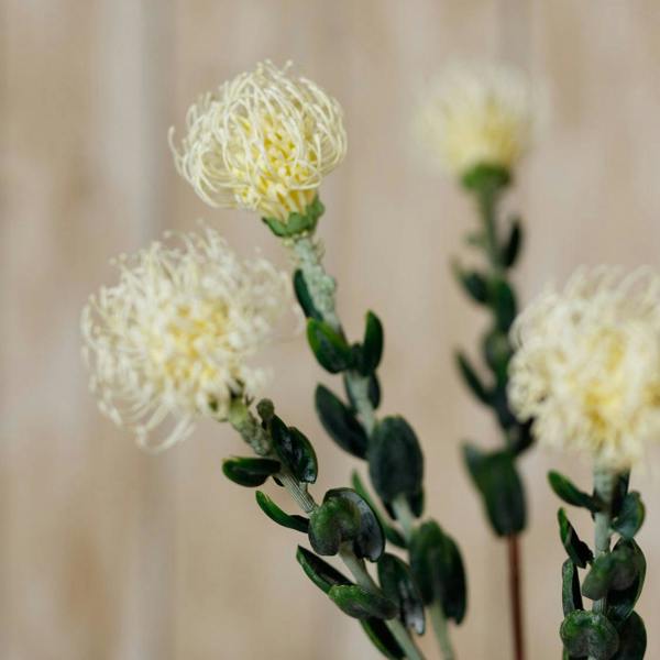 Wyld Haus Set of 3 Artificial Flowers Cream Pincushion Protea Sprays